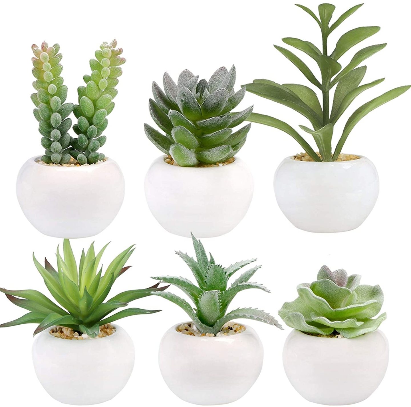 plants-for-home-office